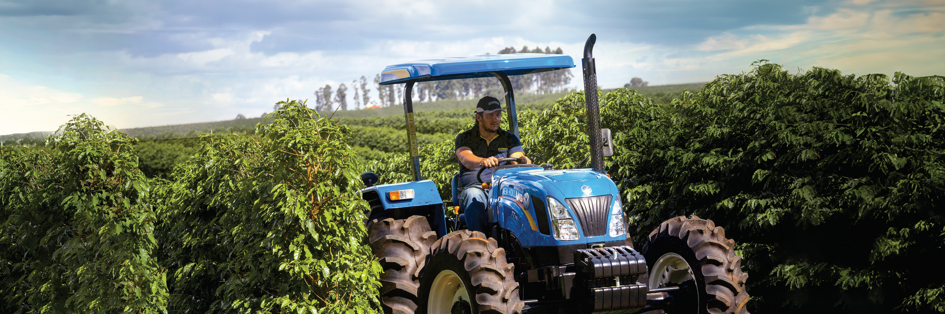 Un hombre conduce un tractor azul a través de un campo de árboles.