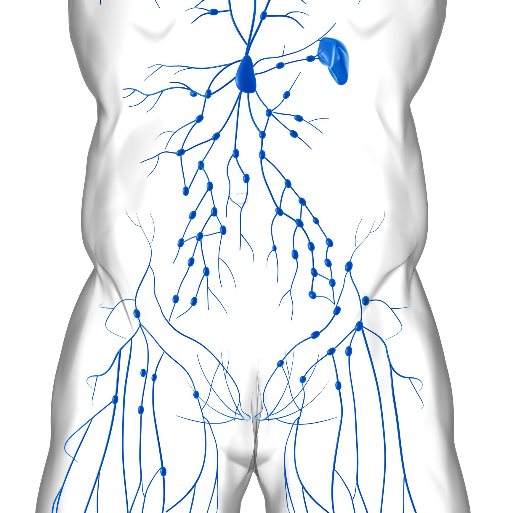 A Diagram Of The Lymphatic System Of A Man | Orlando, FL | Spectrum Wellcare