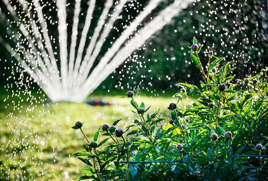 impianti di irrigazione da giardino