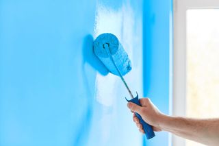 Blue paint with a paint roller | Sydney, NSW | Polypaint