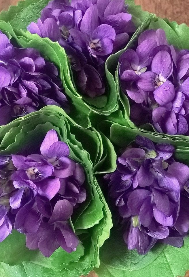 bouquet di fiori viola