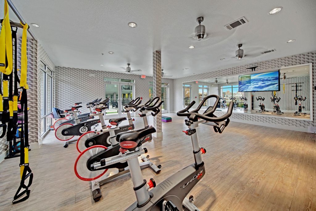 There are a lot of exercise bikes in this gym.