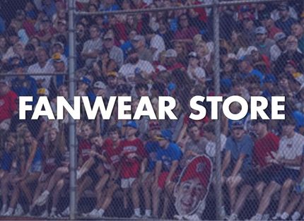 Crowded sports crowd behind bold white text reading “FANWEAR STORE”