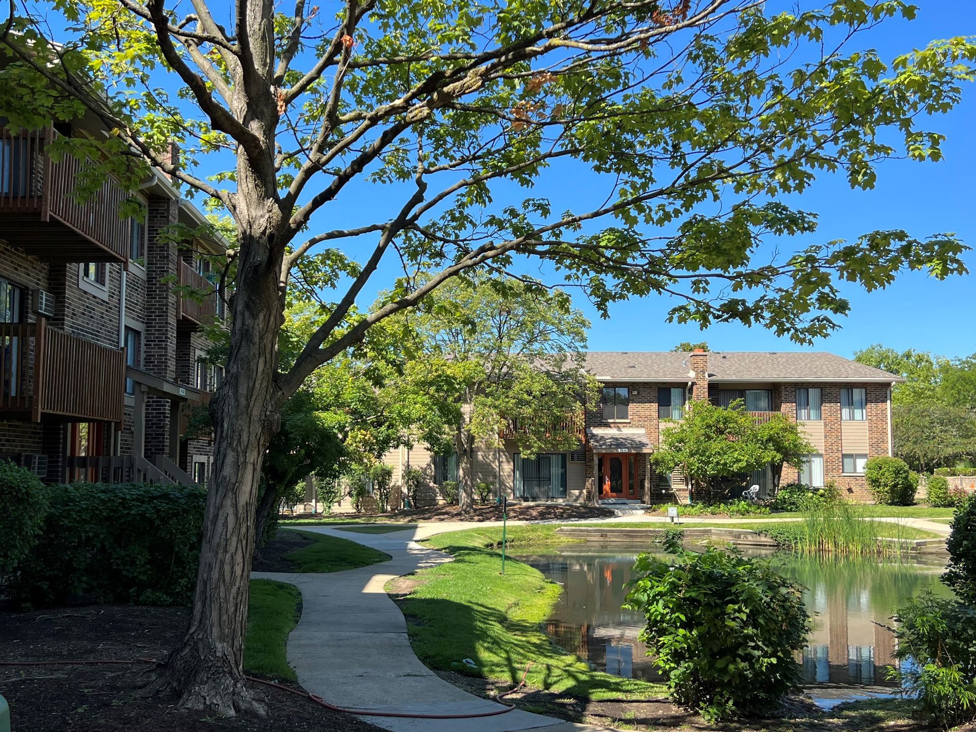 Apartment buildings with a pond, walkway, and trees on a sunny day.