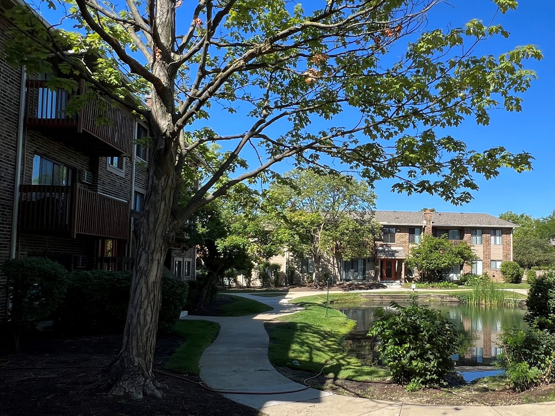 Apartment buildings near a pond and walkway, with trees and a blue sky.