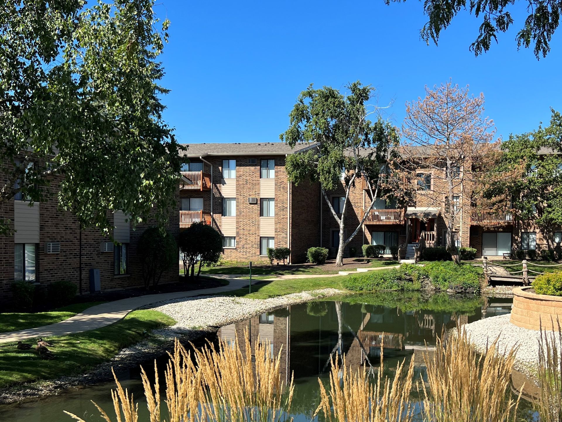 Apartment complex with a pond and trees under a clear, blue sky.