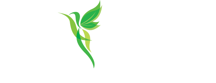 Davida Landscape Designs