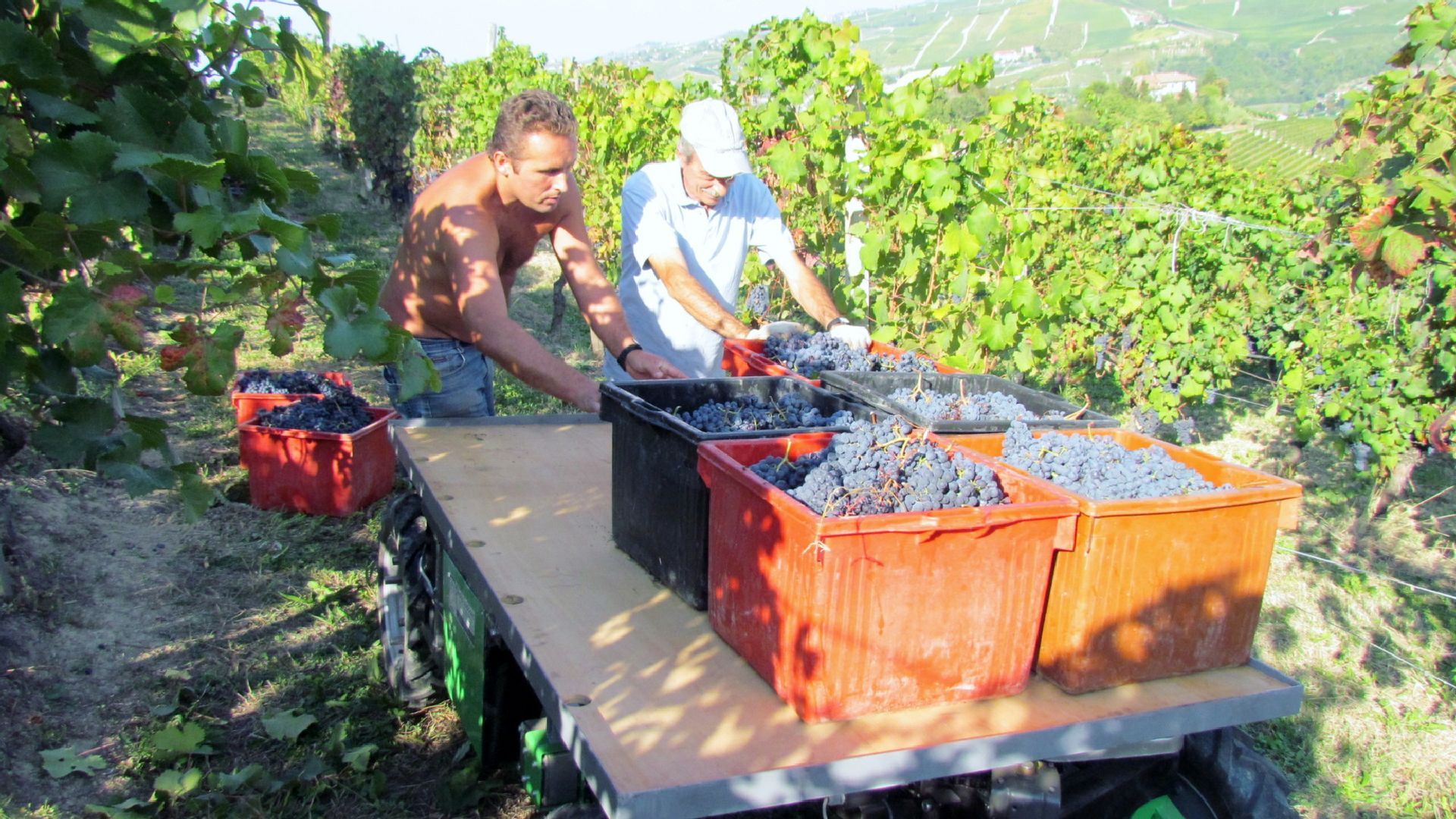 FOURBIO drone terra BCM tech Cuneo