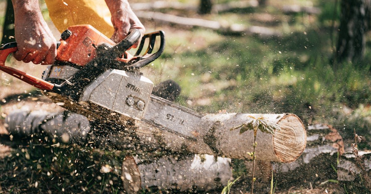 A man is using a chainsaw to cut a log in the woods.