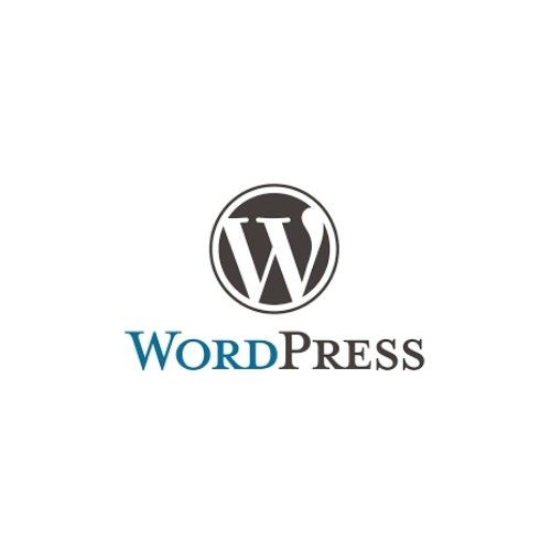 Wordpress Web Designer