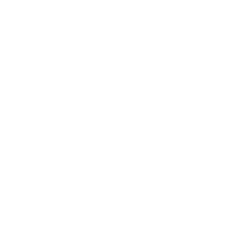Da Silva Painting logo