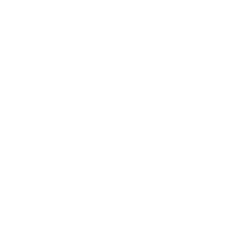 Da Silva Painting logo