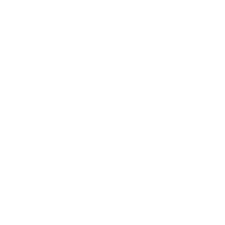 Icona-R.S.A. San Benedetto