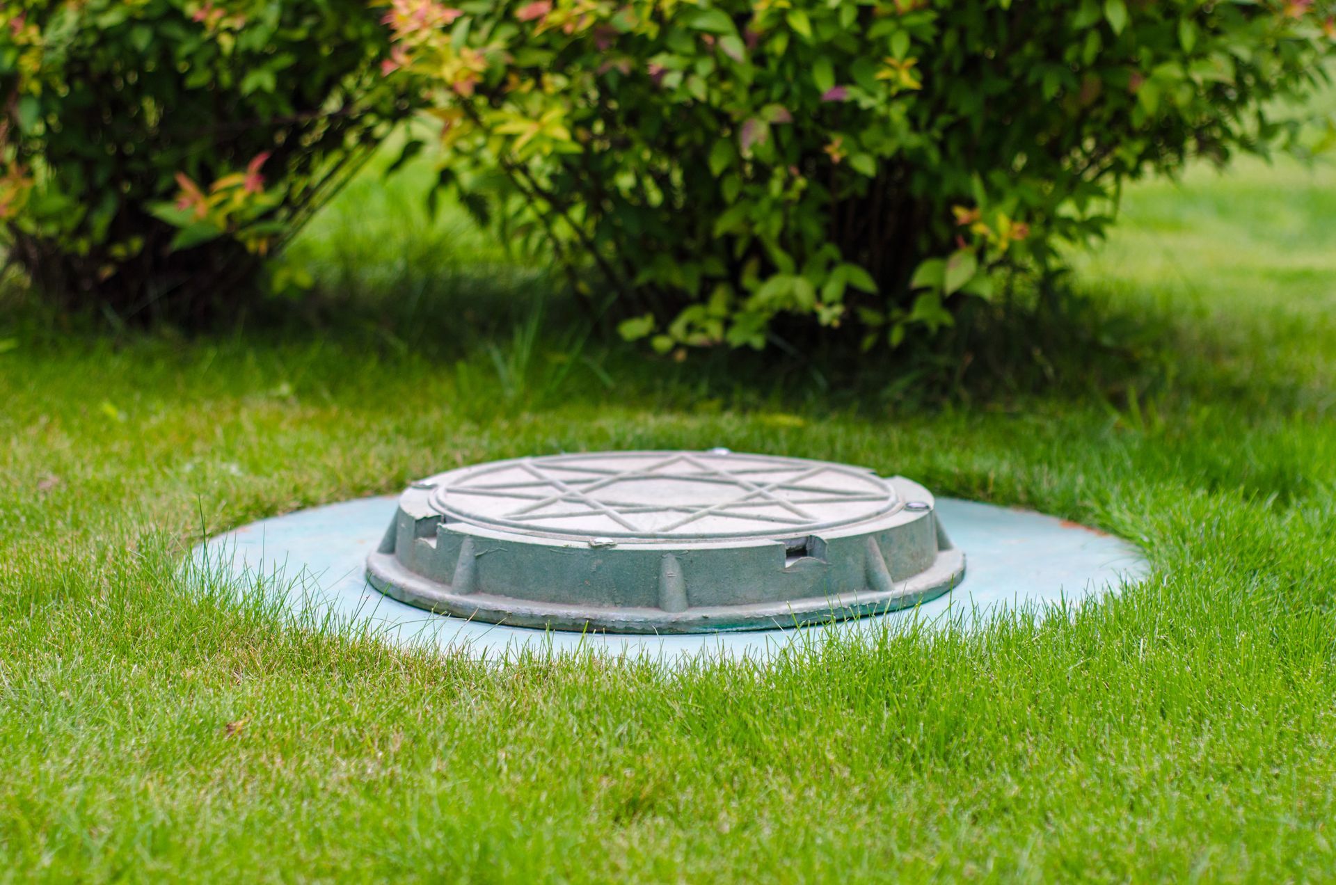 A manhole cover is sitting in the middle of a lush green field.