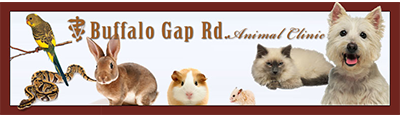 Buffalo Gap Road Animal Clinic logo