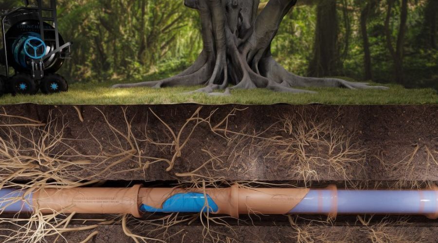 A drawing of a pipe in the ground with roots and a tree in the background.