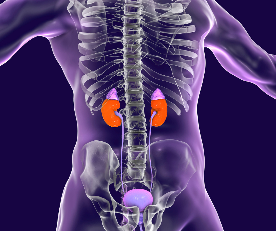 Adrenal Cancer | Service Page | LA Cancer Network