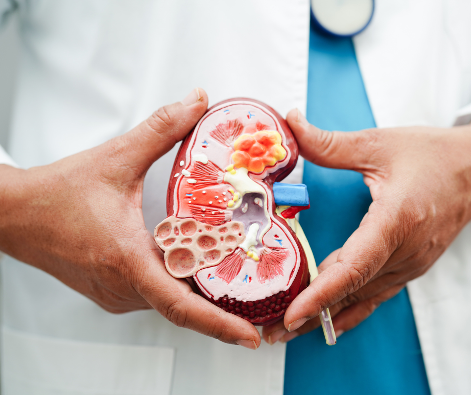 Kidney Cancer | Service Page | LA Cancer Network