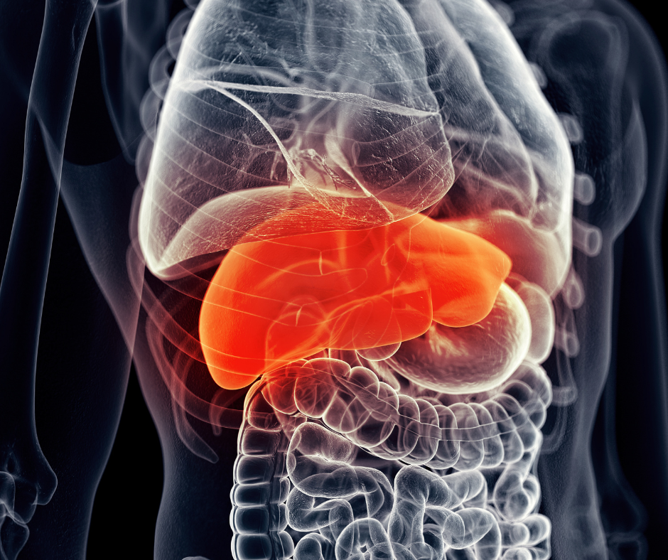 Liver Cancer | Service Page | LA Cancer Network