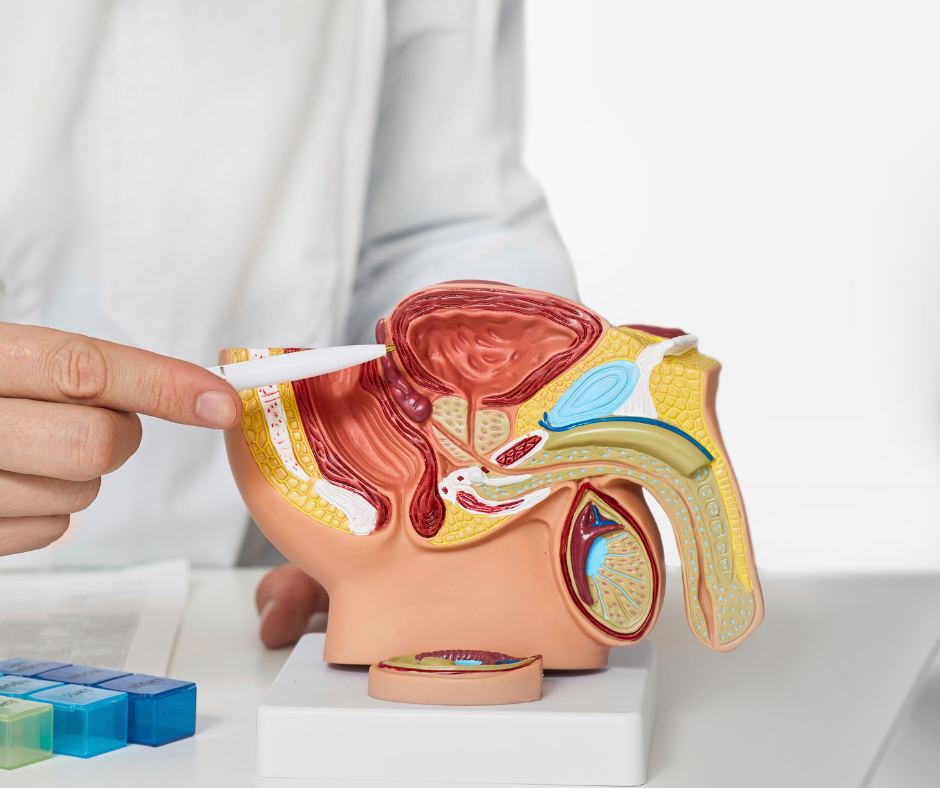 Prostate Cancer | Service Page | LA Cancer Network