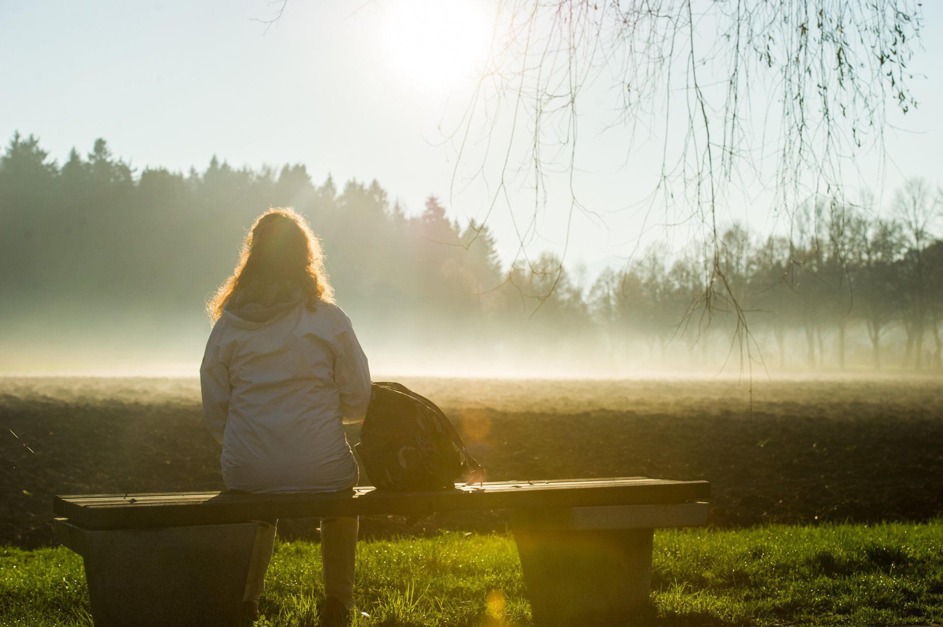 Person sitting on a bench by a misty lake at sunrise, with trees and soft golden light