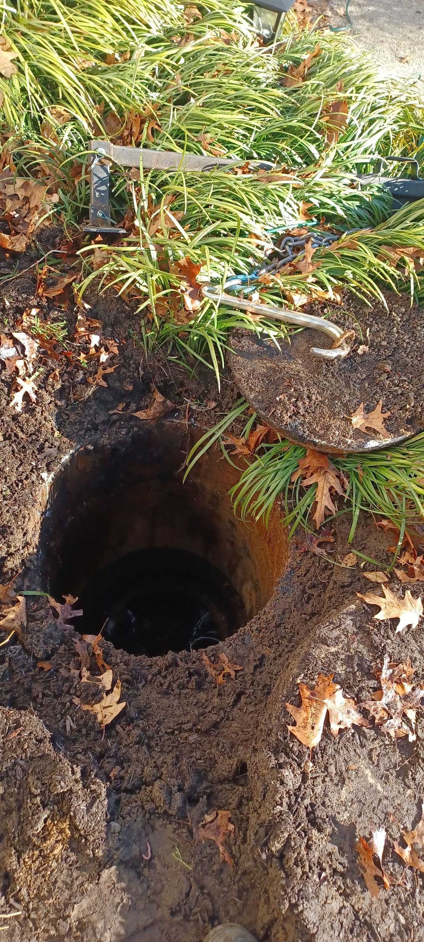 a hole in the ground surrounded by leaves and grass .