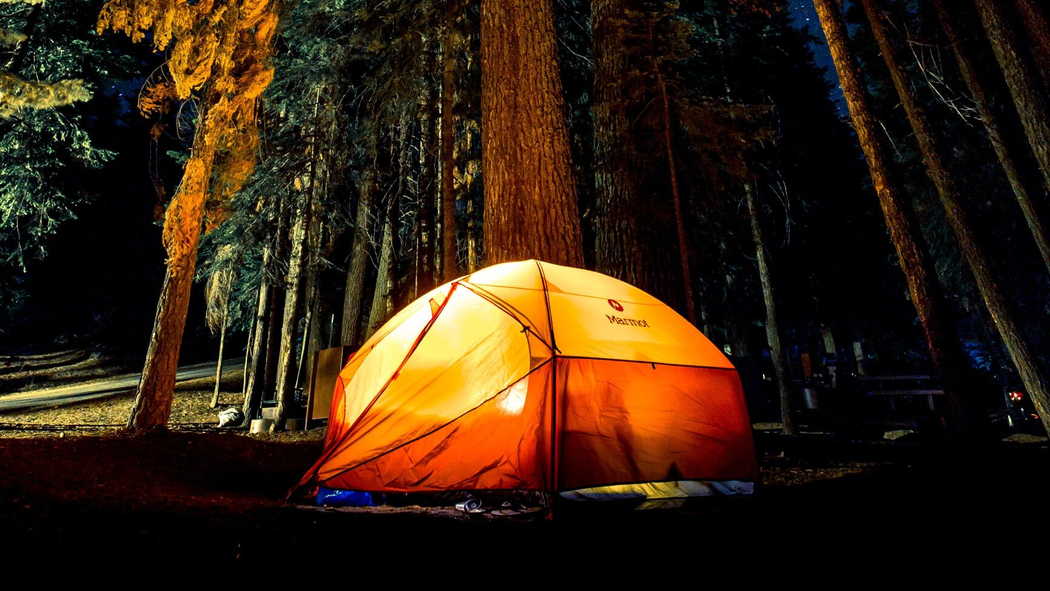 An orange camping tent glows brightly at night, set against a dark background of towering pine trees.