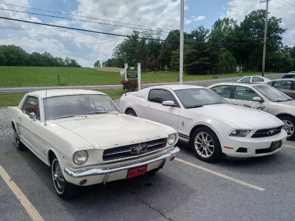 Two White Ford Mustangs Parked Side-by-Side | Hippensteel Auto Inc.