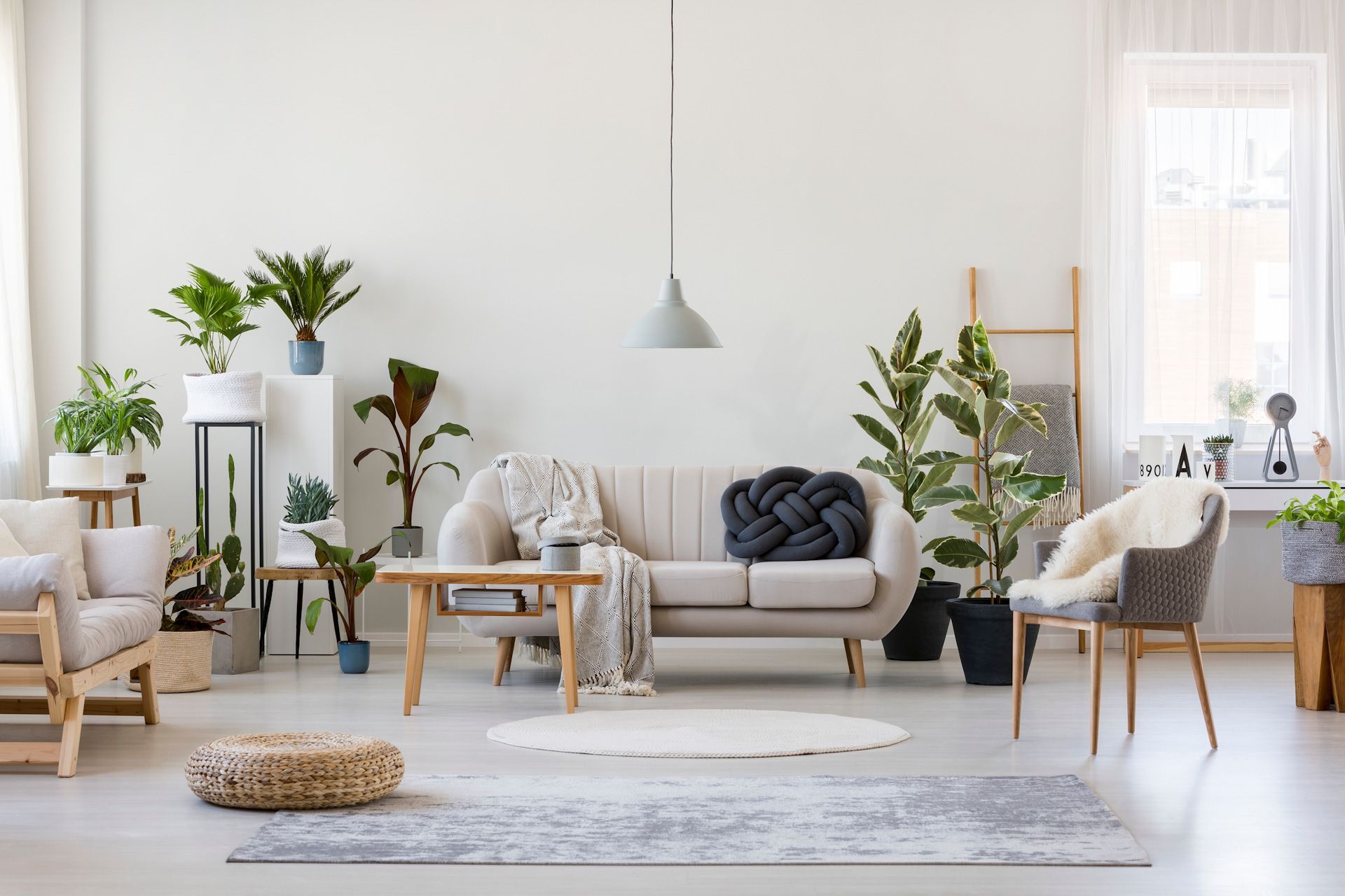 A living room filled with furniture and potted plants 