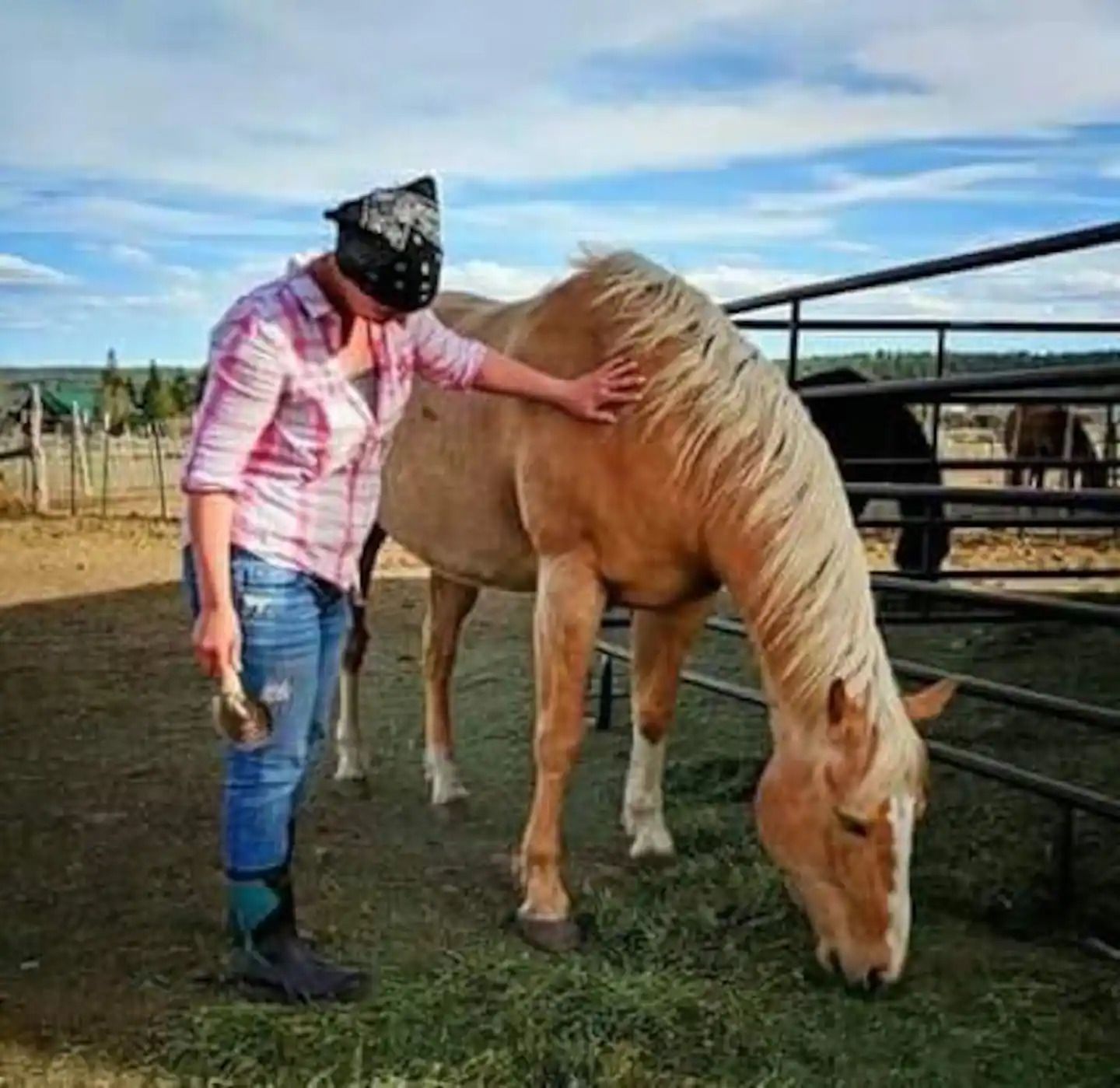 A woman petting a horse in a fenced in area