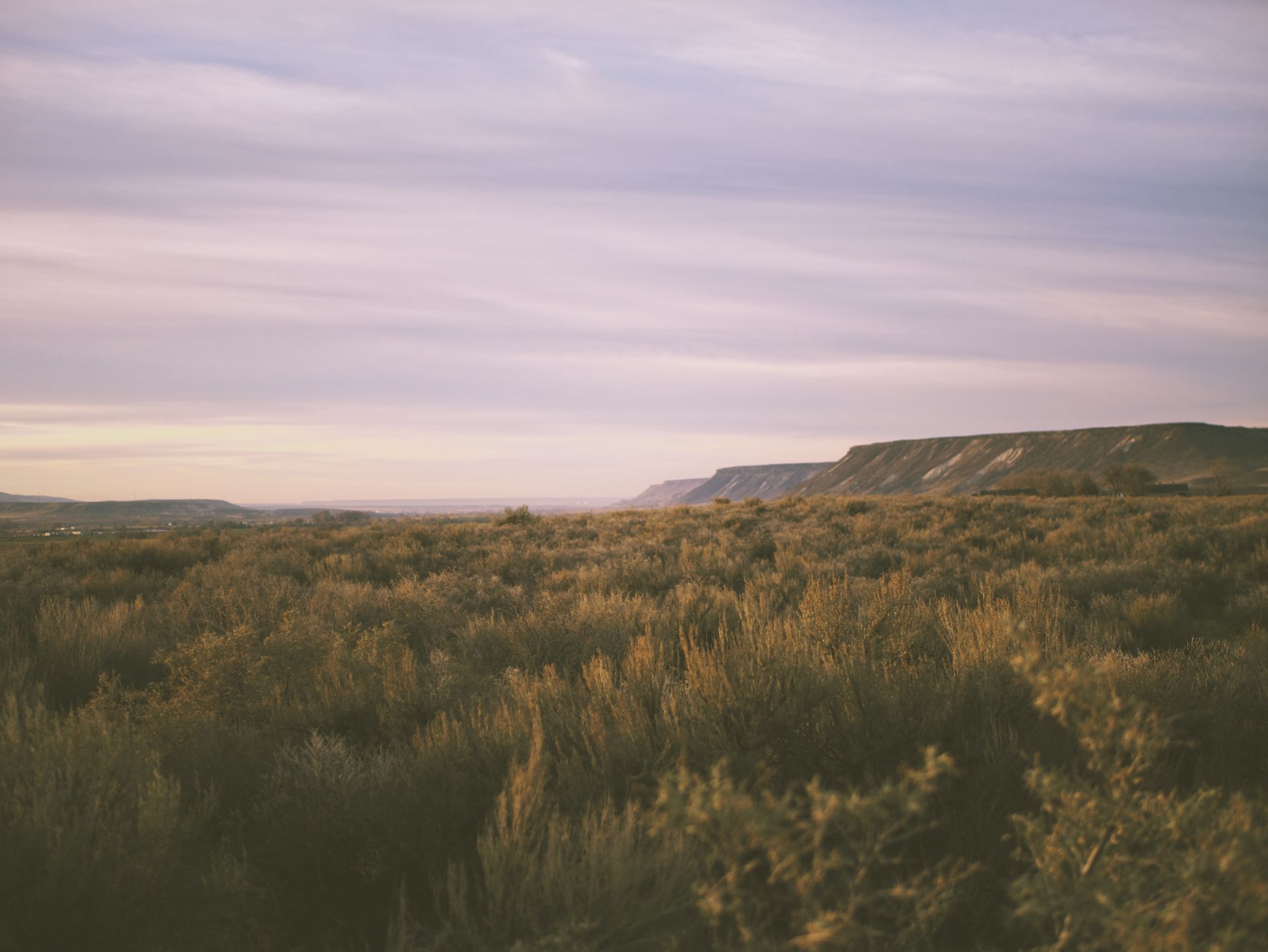 A vast sagebrush field extends toward distant, low mesas under a soft, purple-hued twilight sky.