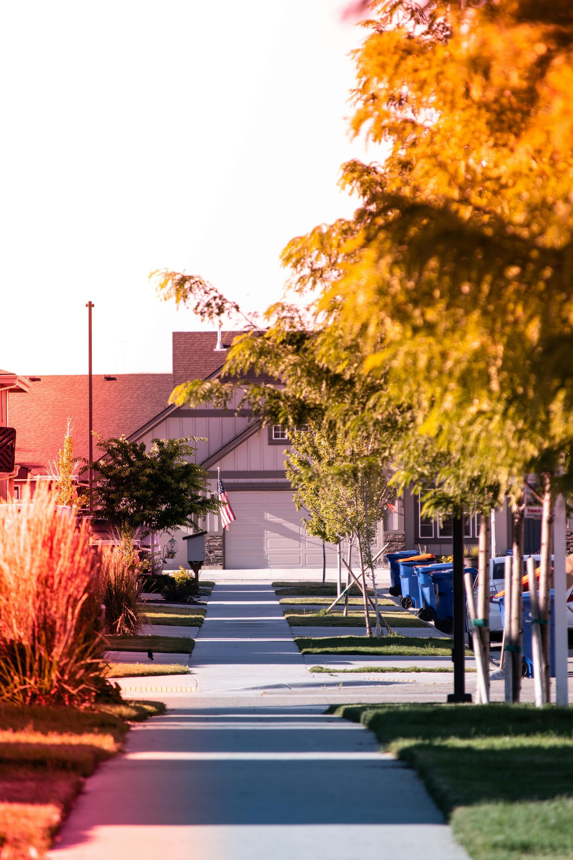 A sidewalk leads toward suburban homes, framed by golden-hued trees and vibrant plants under bright, warm sunlight.