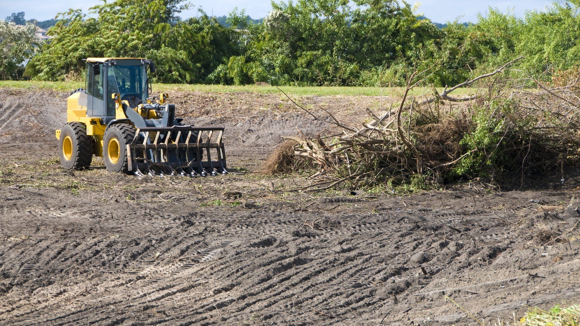 Land Clearing Service in Southampton, NJ | Edward and Sons Landscaping