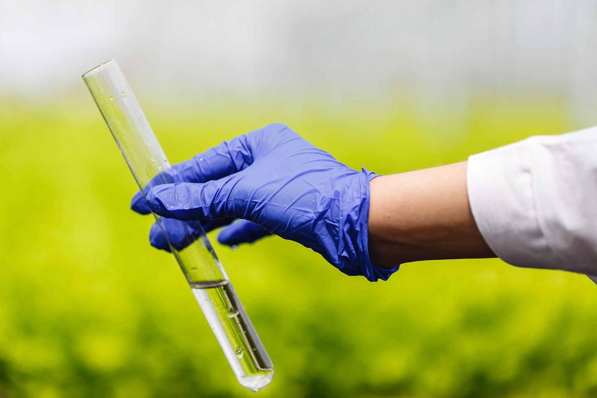 Collecting a sample for well water testing
