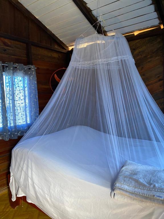 A bed with a mosquito net over it