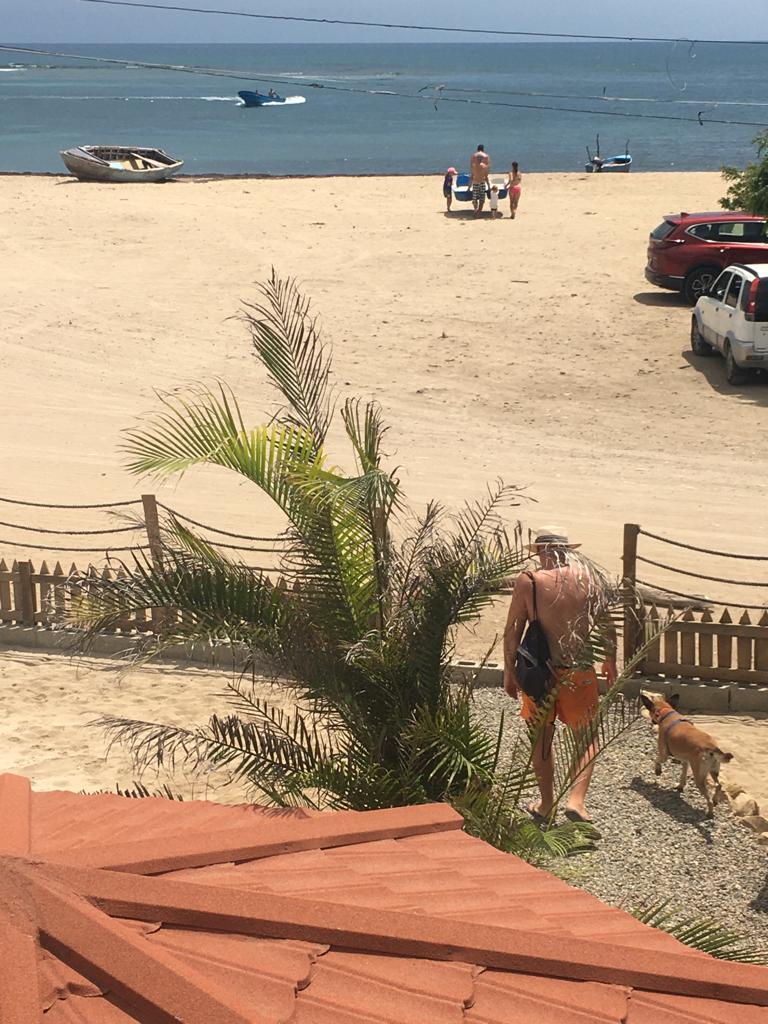 A man and a dog are walking on a beach near the ocean.