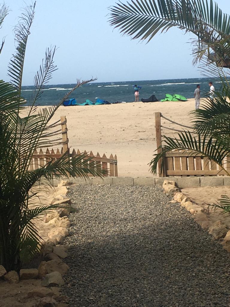 A path leading to a beach with a fence and palm trees