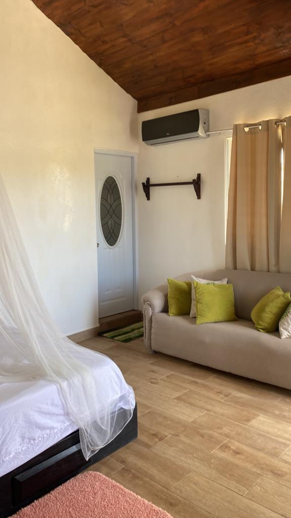 A living room with a couch and a bed.