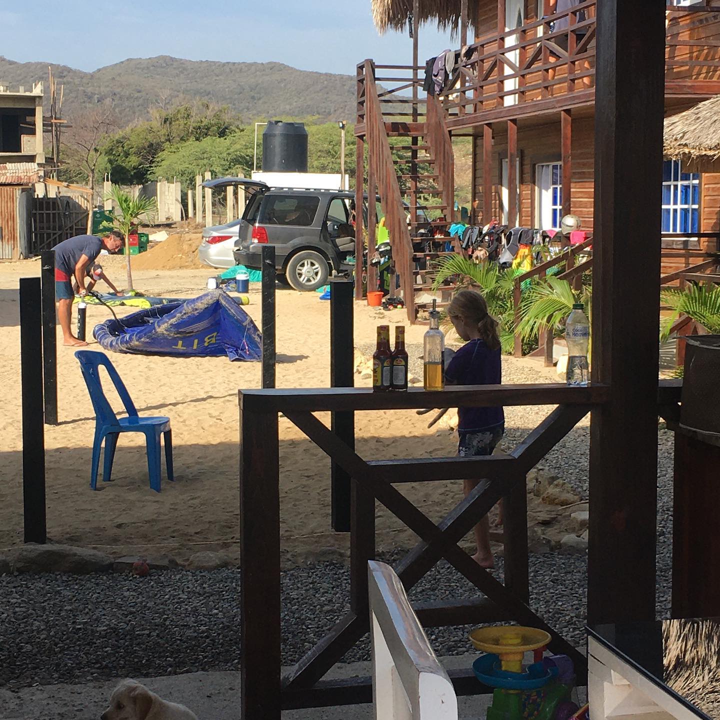 A dog is sitting on the porch of a house