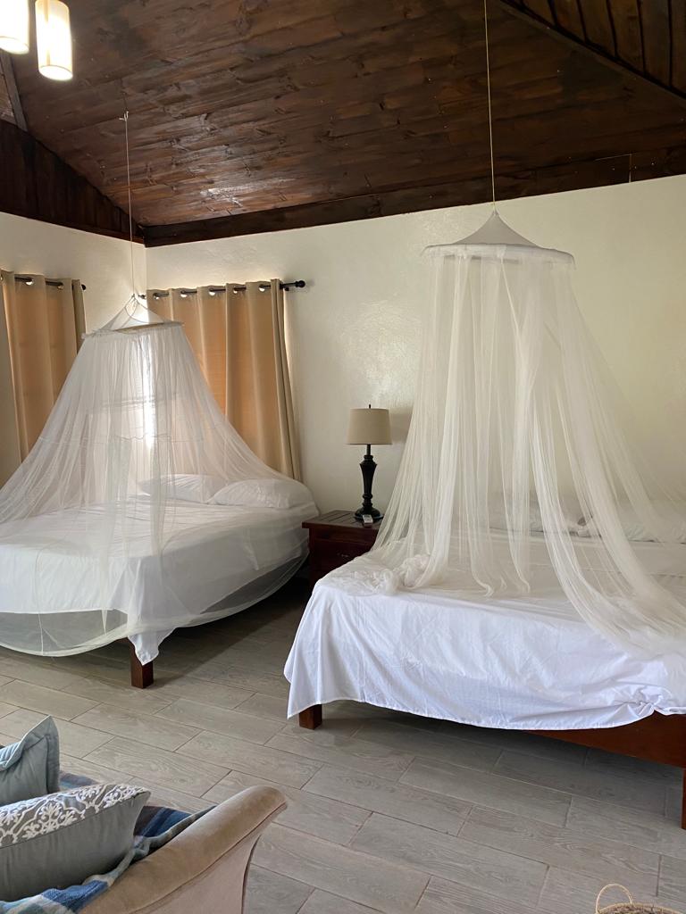 There are two beds with mosquito nets in the room.