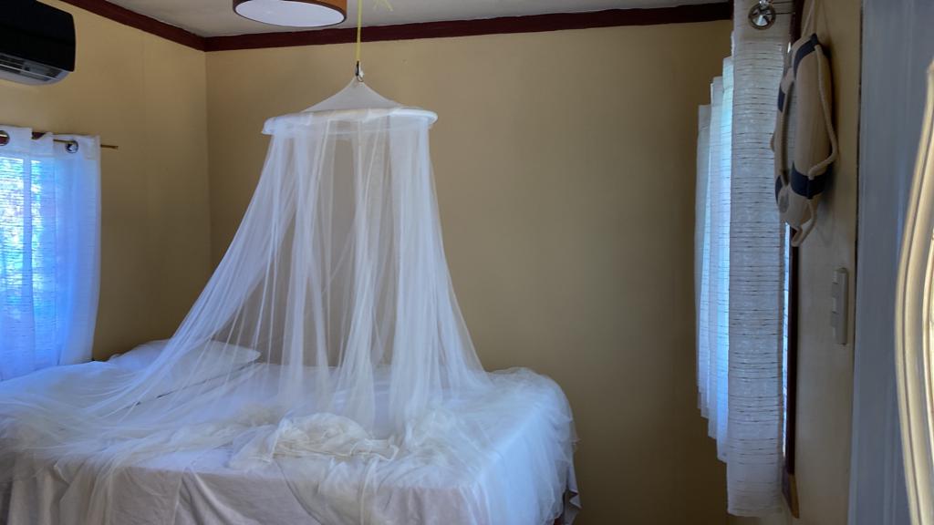 A bedroom with a bed and a canopy over it.