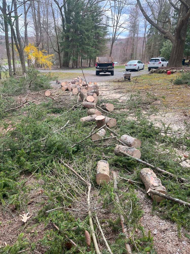 A truck is driving down a road next to a pile of logs.