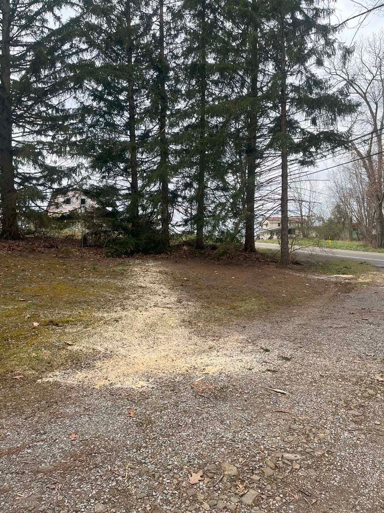 A gravel lot with trees in the background and a road in the background.