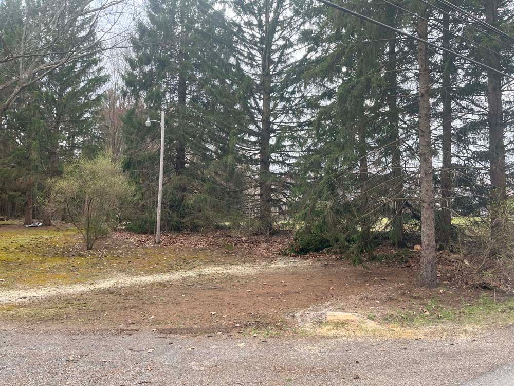 A dirt road going through a forest with trees in the background.
