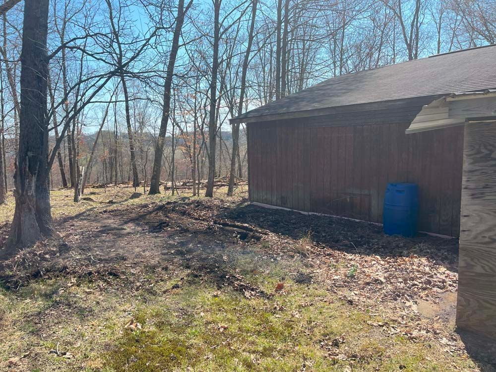 A shed in the middle of a forest with a blue barrel in front of it.