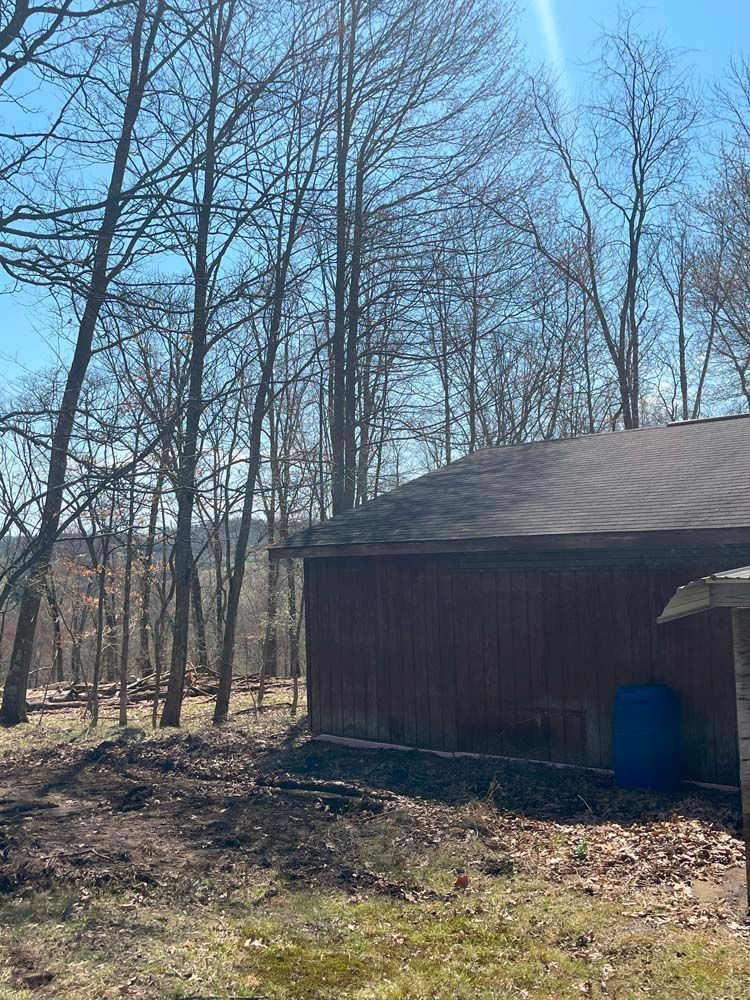 A small house in the middle of a forest with trees in the background.