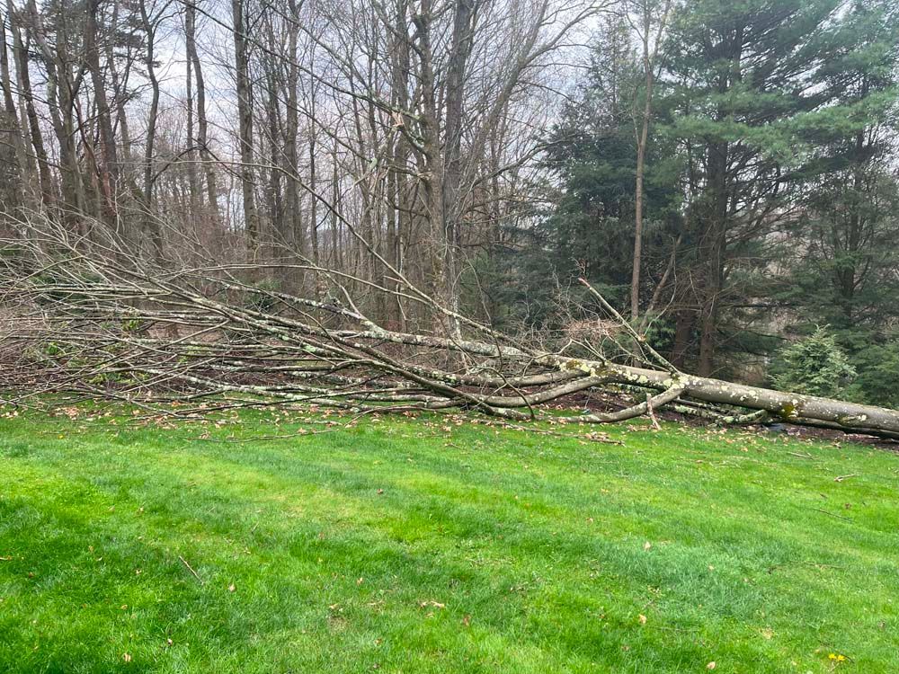 A large tree stump is laying on top of a lush green field.