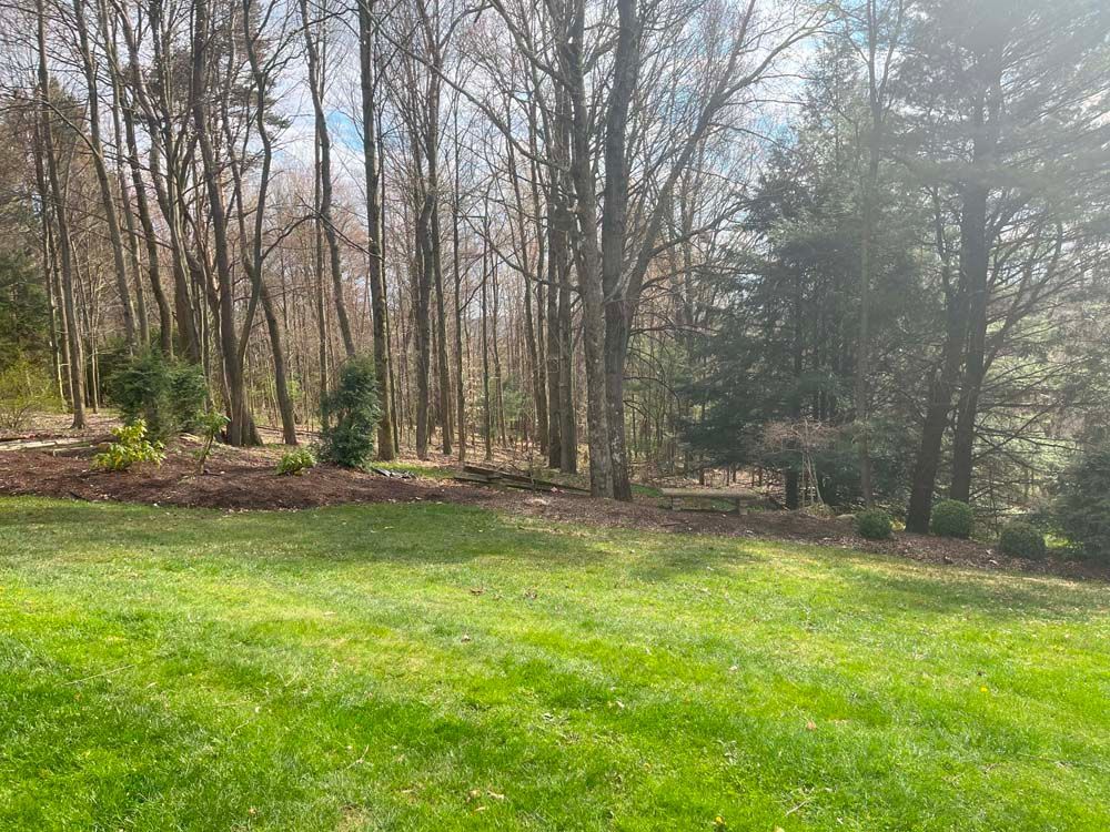 A large lush green field with trees in the background.