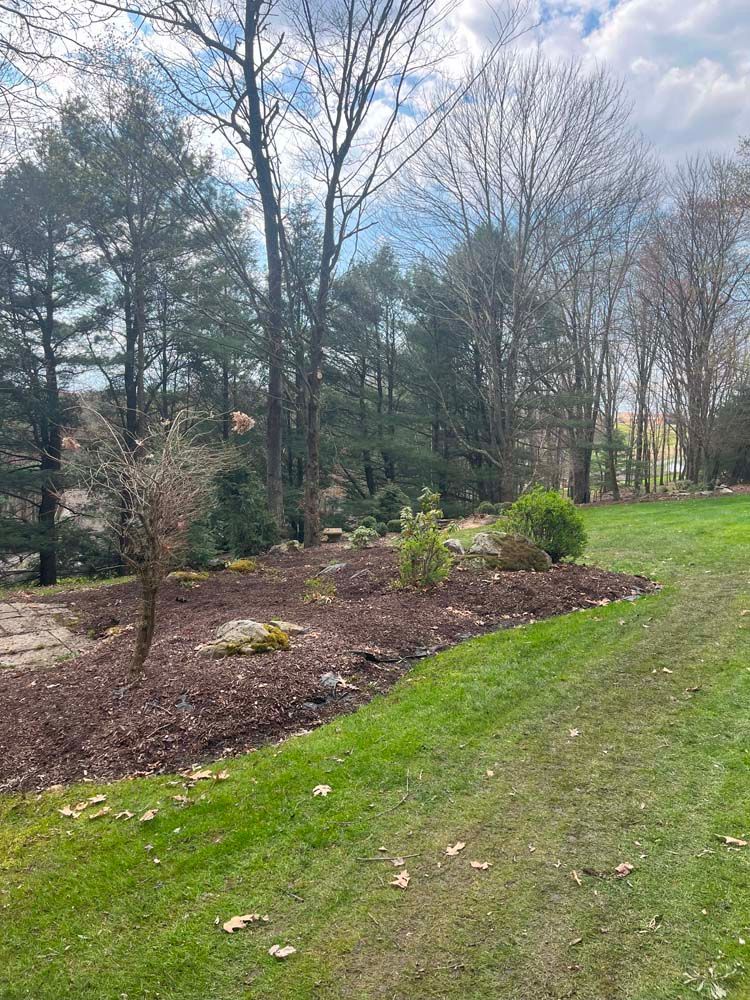 A lush green lawn surrounded by trees on a sunny day.