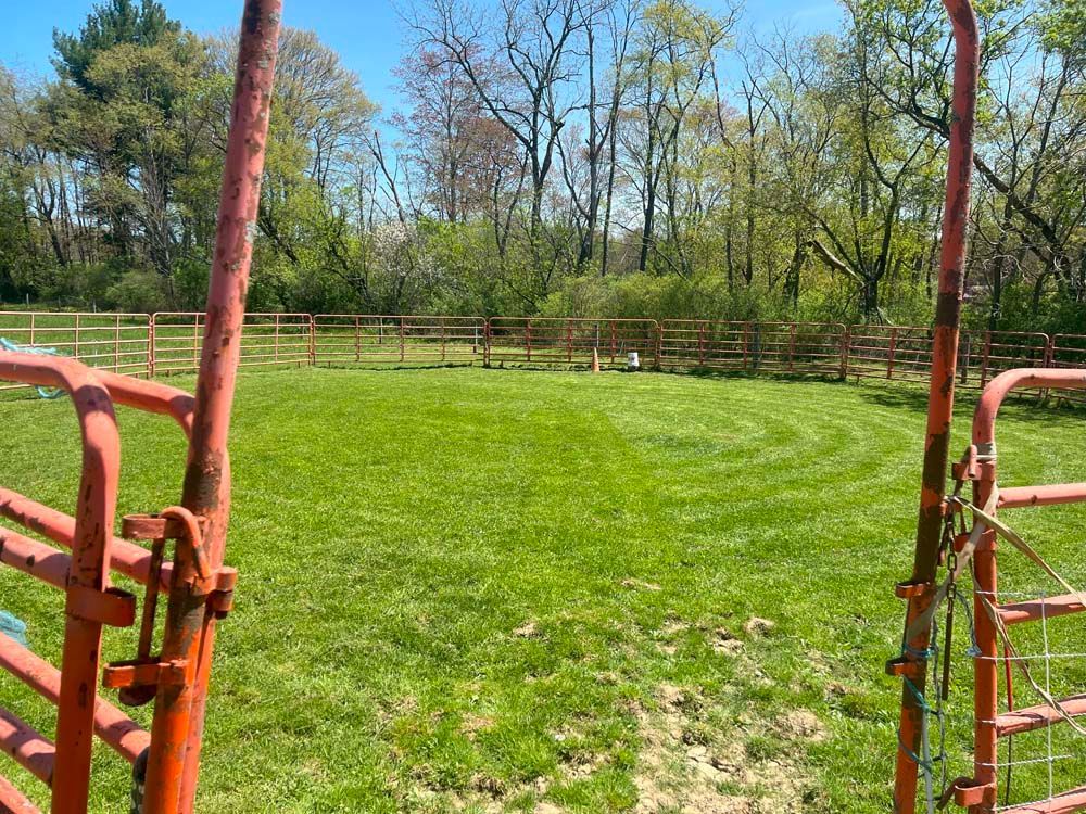A field of grass with a fence in the background and a gate in the foreground.